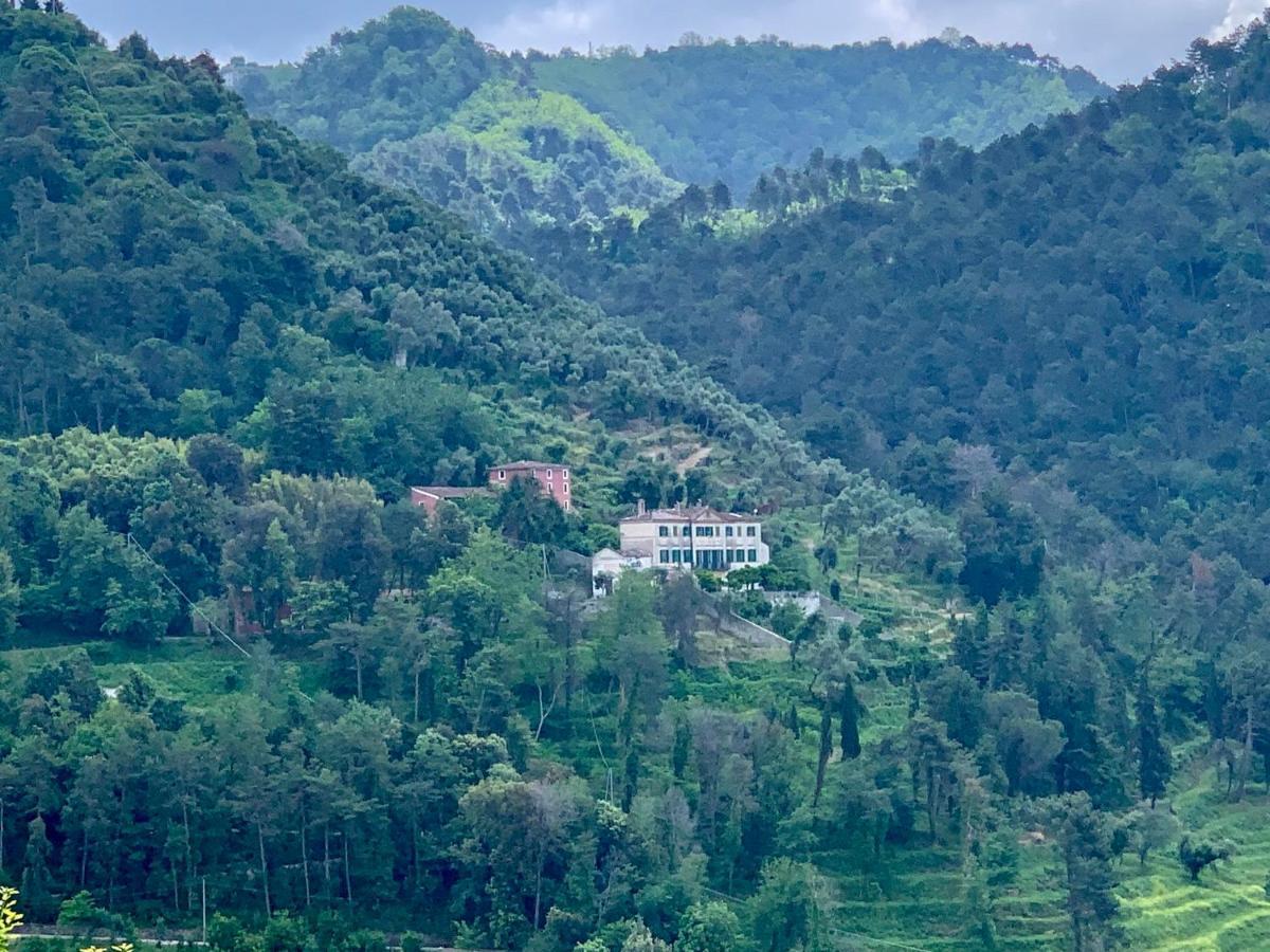 Agriturismo Villa Cavallini カマイオーレ エクステリア 写真